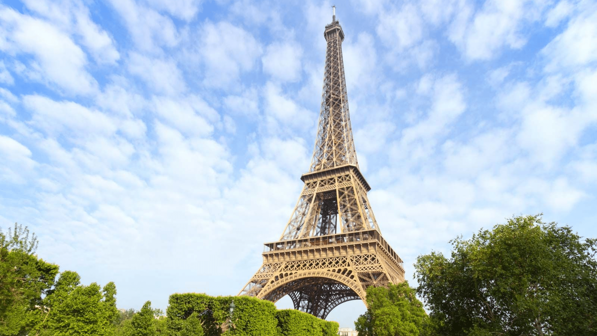 Eiffel Tower Paris