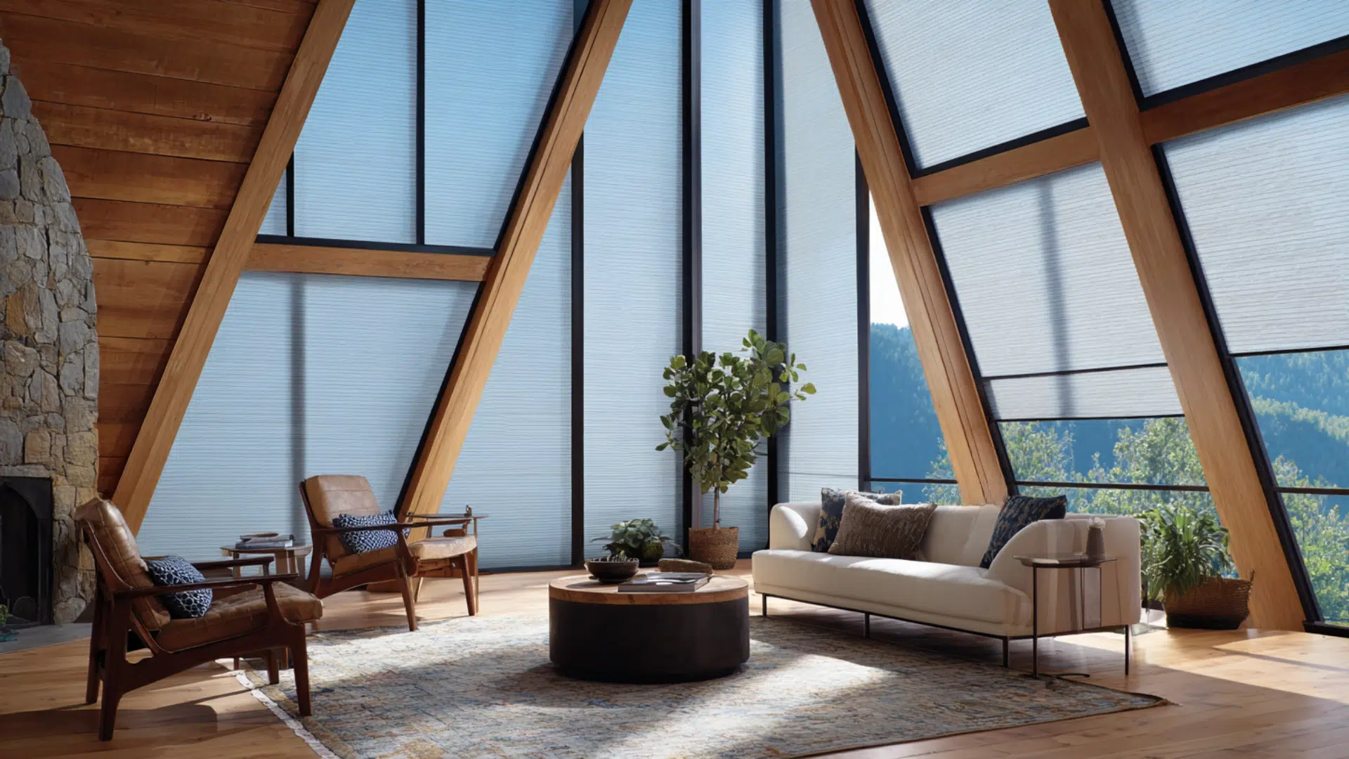 maximize window treatments