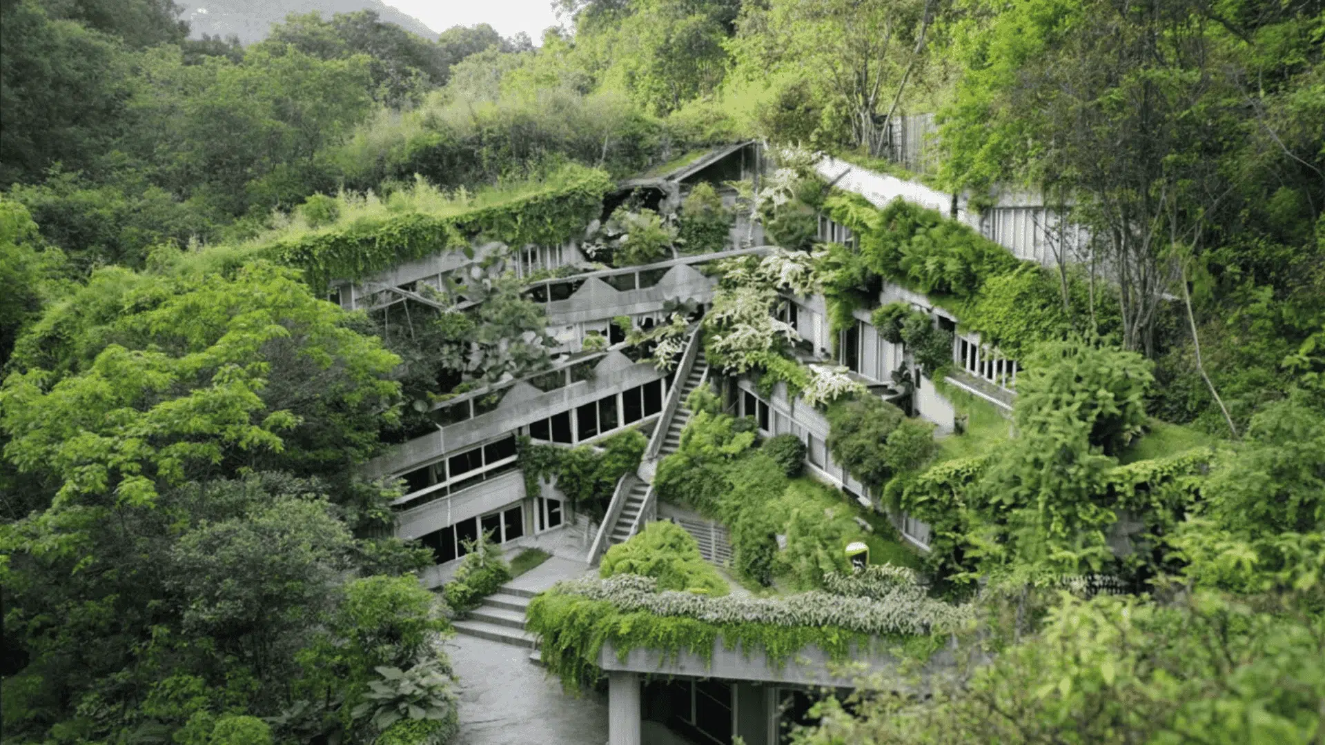 A house nestled in lush green vegetation, surrounded by dense forest trees, which gives it a dense look with plants and greenery.