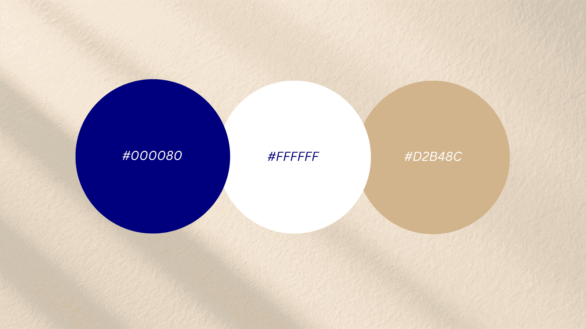 Color palette featuring circles of dark blue (000080), white (FFFFFF), and tan (D2B48C) against a textured beige background
