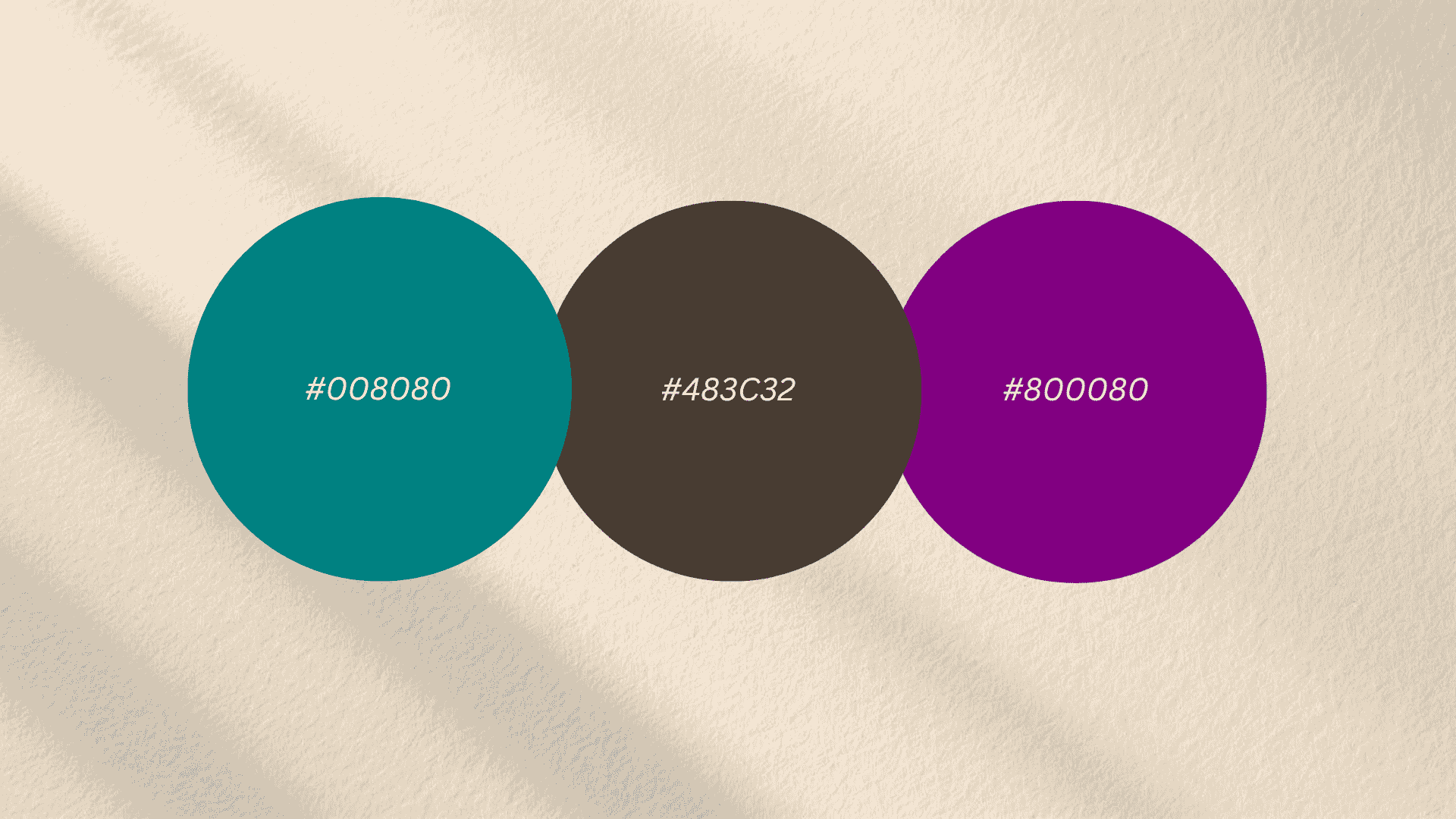 Three circles displaying the hex codes 008080 (teal), 483C32 (dark brown), and 800080 (purple) against a light beige background