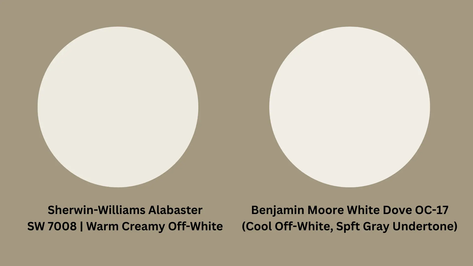 Two white circles displaying Sherwin Williams Alabaster vs White Dove Benjamin Moore for color comparison