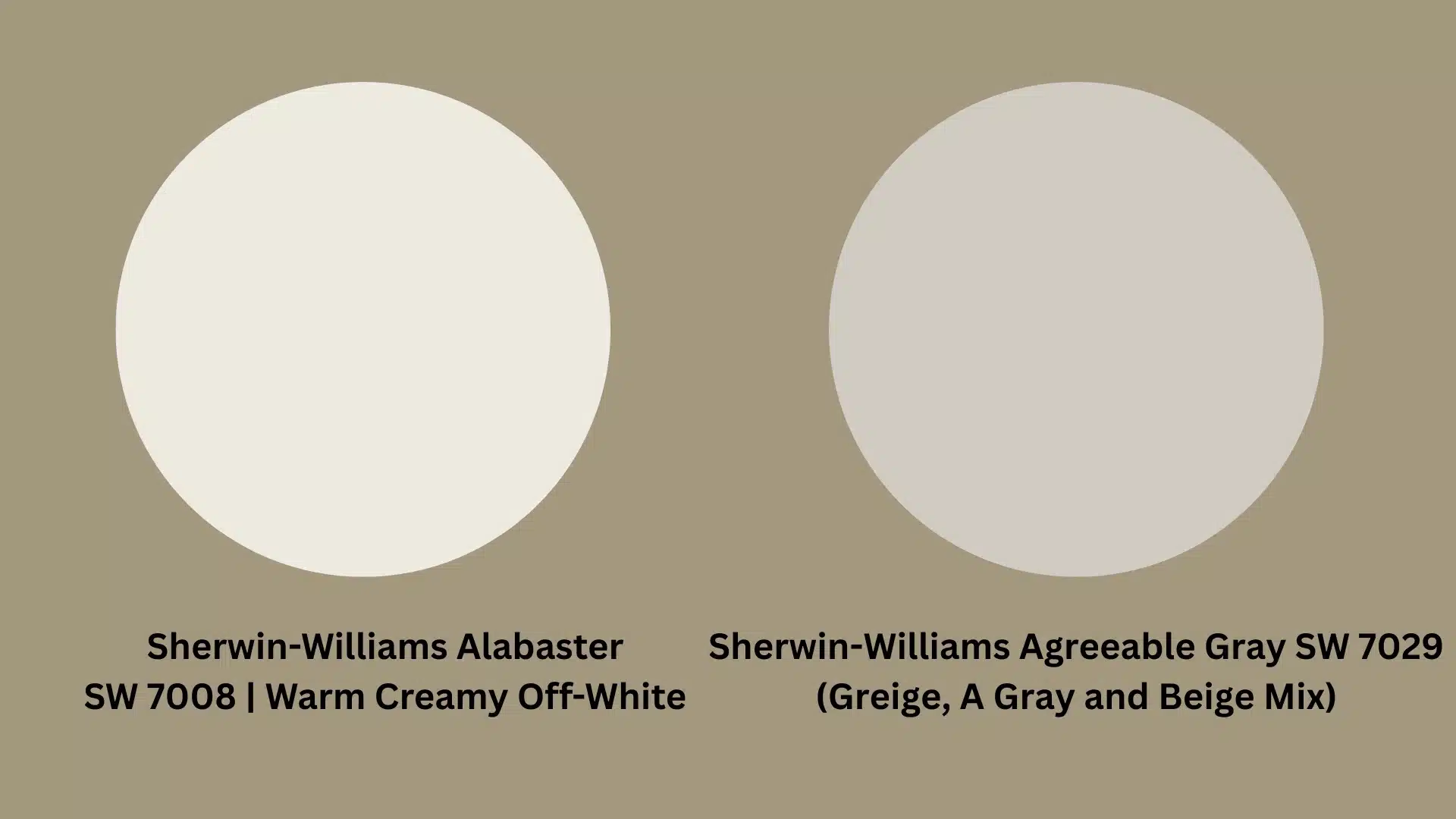 Two white circles displaying Sherwin Williams Alabaster vs Sherwin Williams Agreeable Gray for color comparison