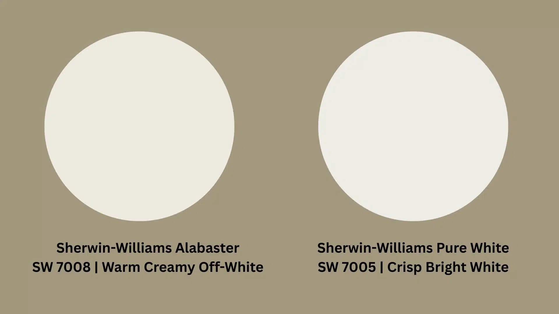 Two white circles displaying “Sherwin Williams Alabaster vs Sherwin Williams pure White” for color comparison