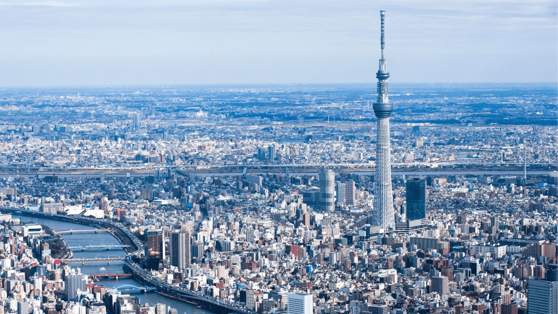 Aerial view of the Tokyo Skytree tower standing tall over a dense city landscape with a winding river under a blue sky