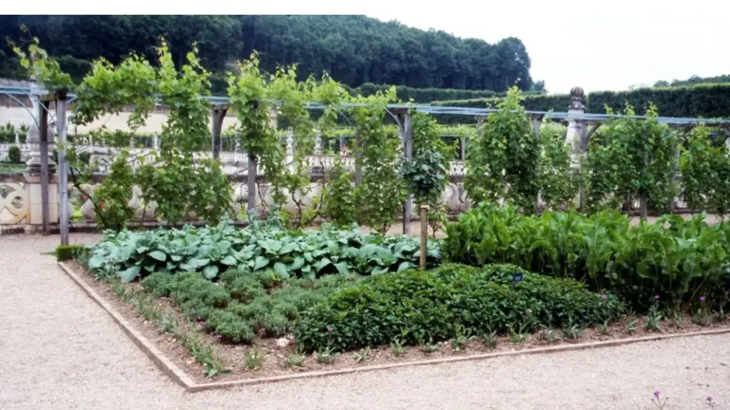 vegetable-garden-layout-feature