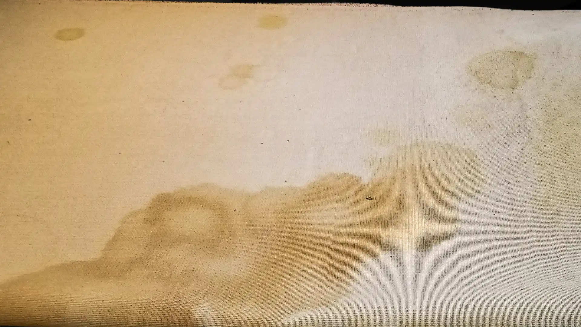 Light-colored carpet with large brown coffee stains and uneven discoloration across the surface.