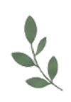 leaf1