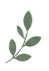 leaf2