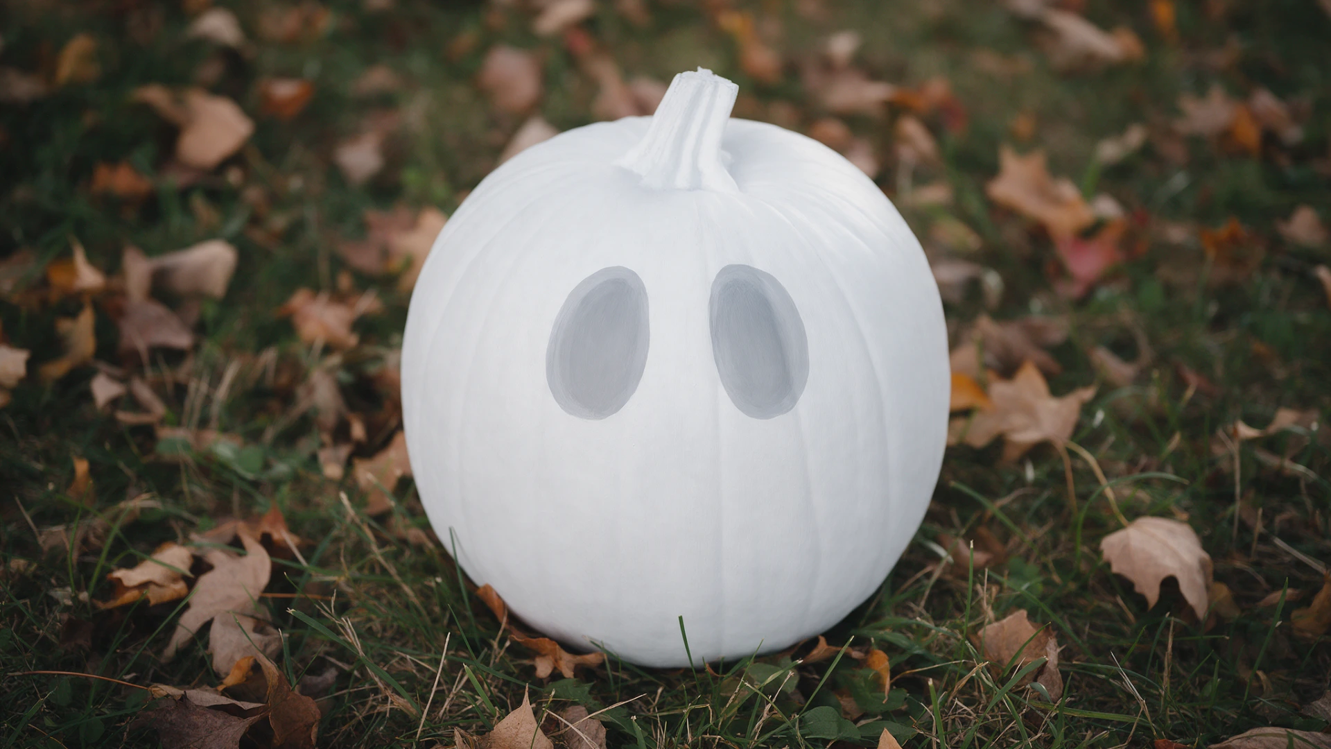 White pumpkin painted like a ghost on a bed of dry autumn leaves.