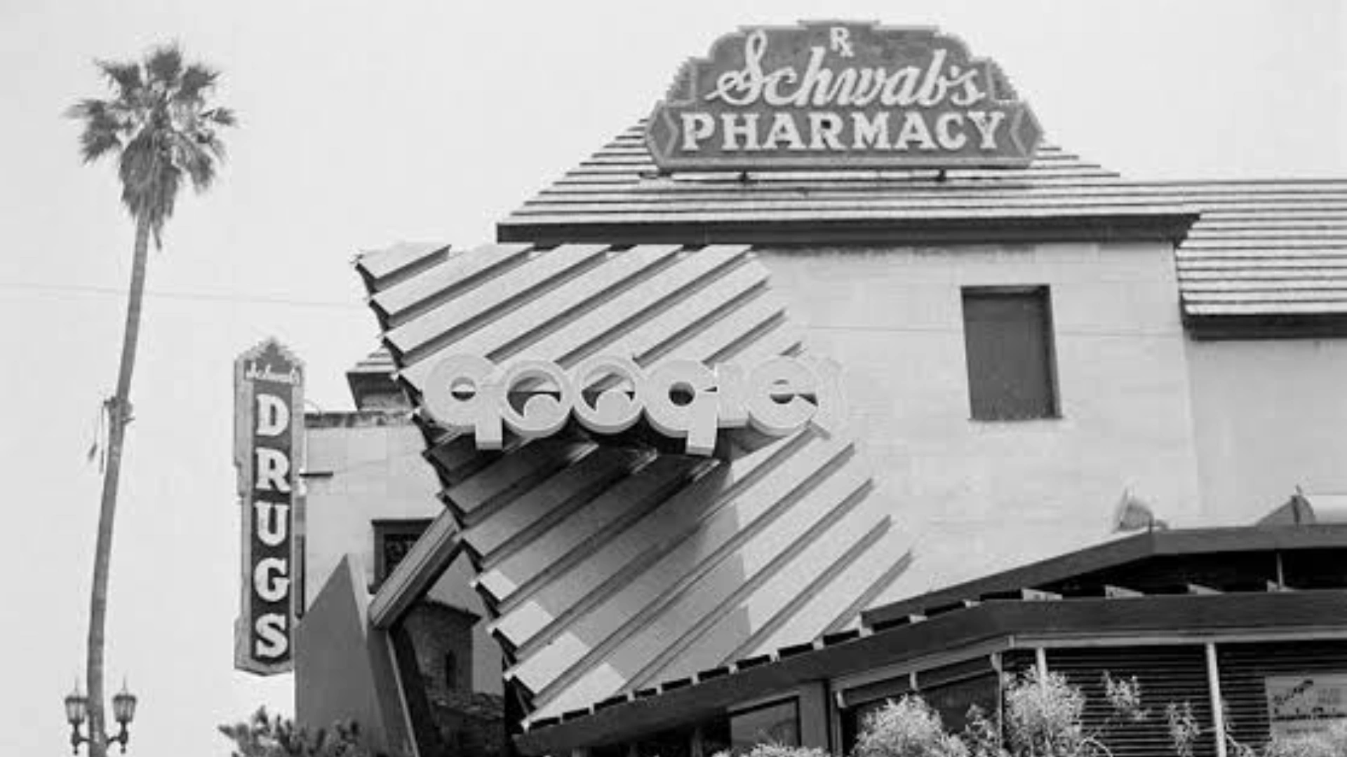 Black and white photo of early <echighlighted>Googie architecture</echighlighted> with bold pharmacy signs angled rooflines and a palm tree.
