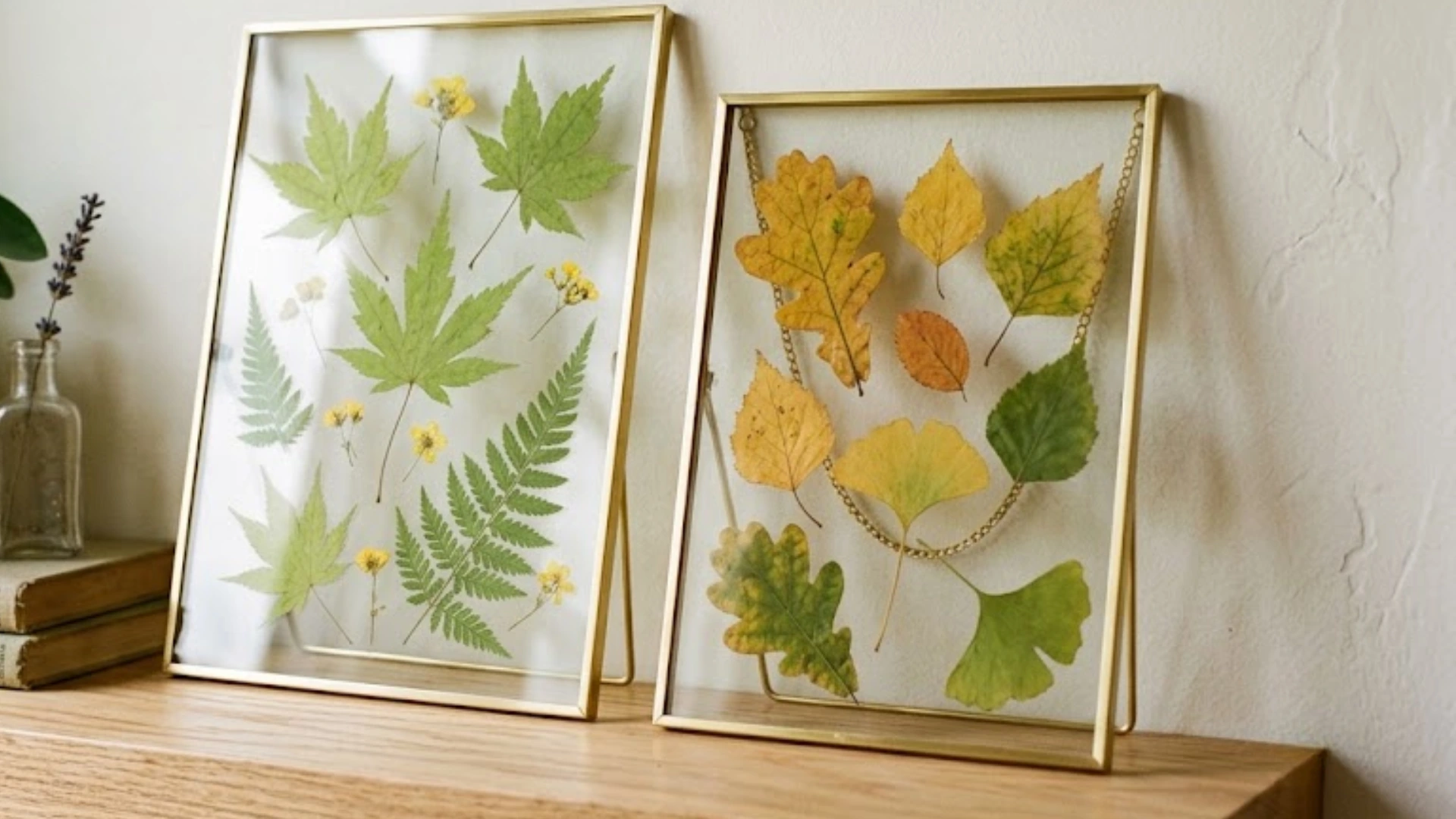 Framed pressed leaves resting on a wooden shelf next to potted plants and stacked books.